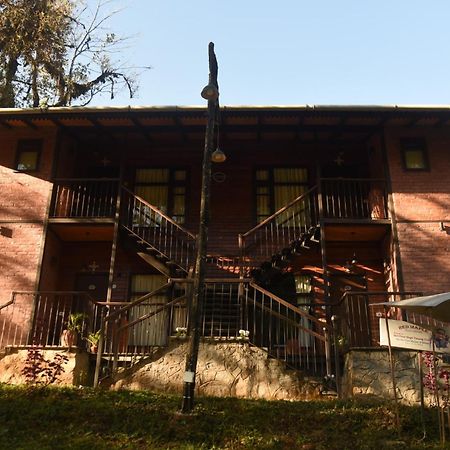 Red Panda Jungle Camp - A Unit Of Davinchi Homes Pvt Ltd Gyalshing Exterior foto